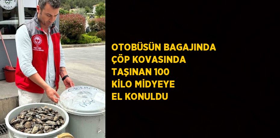 OTOBÜSÜN BAGAJINDA ÇÖP KOVASINDA TAŞINAN 100 KİLO MİDYEYE EL KONULDU