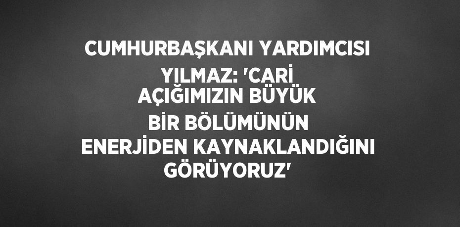 CUMHURBAŞKANI YARDIMCISI YILMAZ: 'CARİ AÇIĞIMIZIN BÜYÜK BİR BÖLÜMÜNÜN ENERJİDEN KAYNAKLANDIĞINI GÖRÜYORUZ'