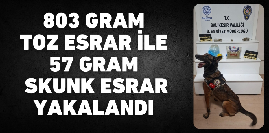 803 GRAM TOZ ESRAR İLE 57 GRAM SKUNK ESRAR YAKALANDI