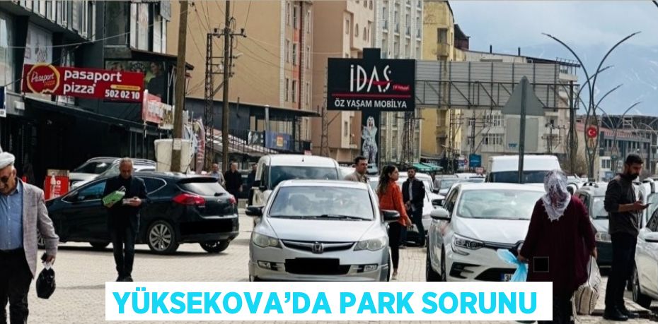 YÜKSEKOVA’DA PARK SORUNU