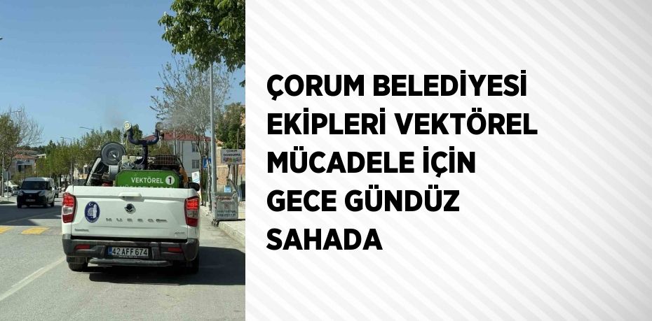 ÇORUM BELEDİYESİ EKİPLERİ VEKTÖREL MÜCADELE İÇİN GECE GÜNDÜZ SAHADA
