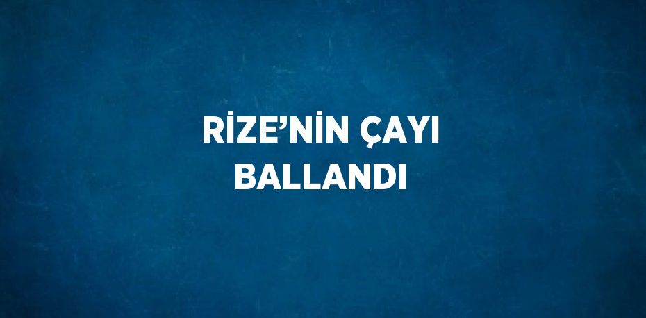 RİZE’NİN ÇAYI BALLANDI
