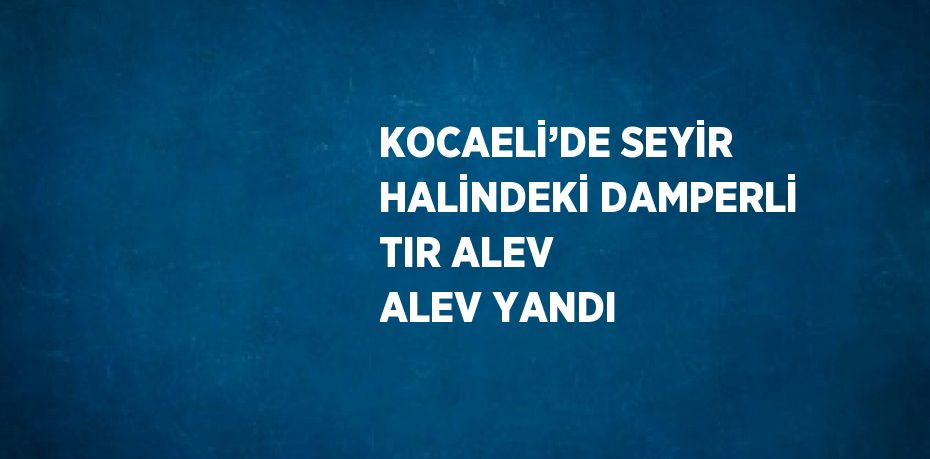 KOCAELİ’DE SEYİR HALİNDEKİ DAMPERLİ TIR ALEV ALEV YANDI