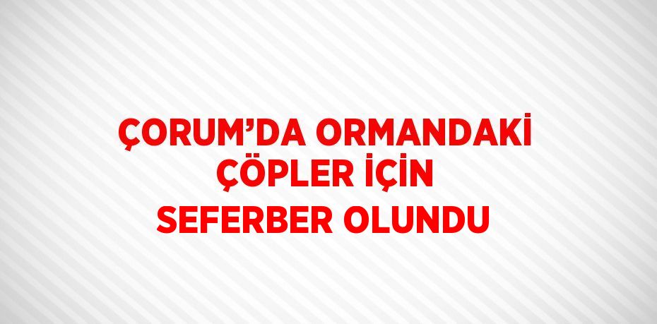 ÇORUM’DA ORMANDAKİ ÇÖPLER İÇİN SEFERBER OLUNDU