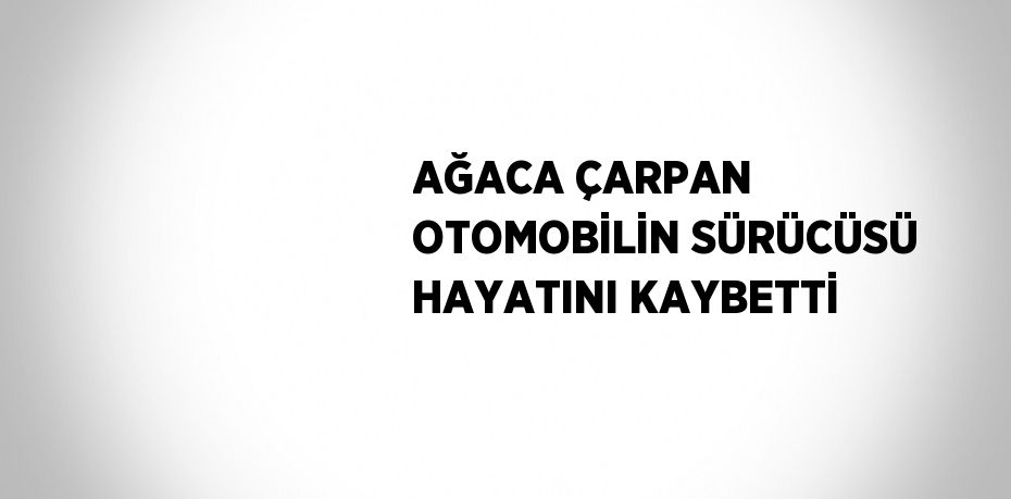 AĞACA ÇARPAN OTOMOBİLİN SÜRÜCÜSÜ HAYATINI KAYBETTİ