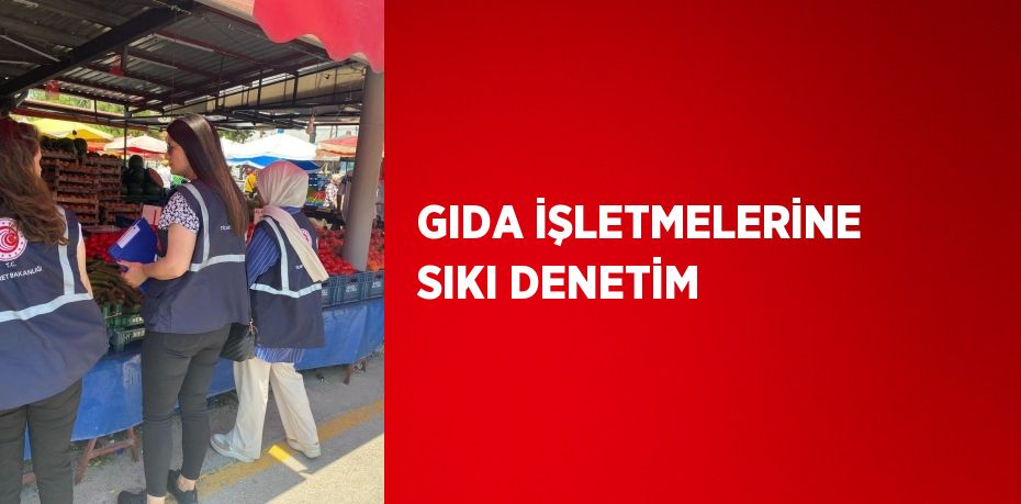 GIDA İŞLETMELERİNE SIKI DENETİM
