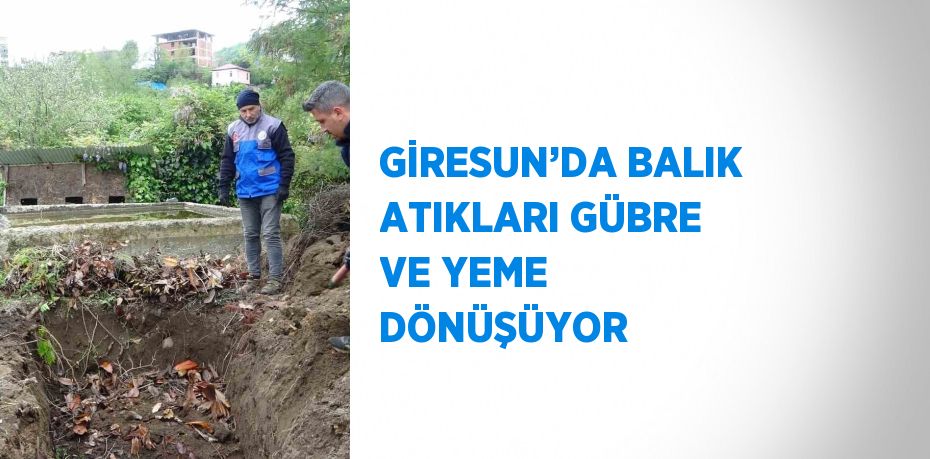 GİRESUN’DA BALIK ATIKLARI GÜBRE VE YEME DÖNÜŞÜYOR