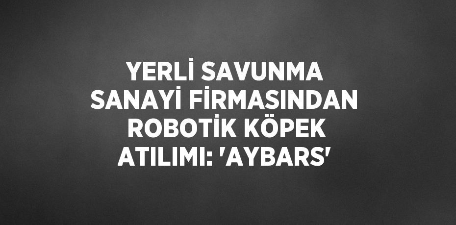 YERLİ SAVUNMA SANAYİ FİRMASINDAN ROBOTİK KÖPEK ATILIMI: 'AYBARS'