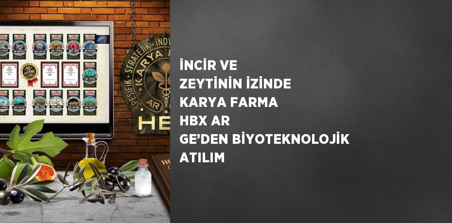 İNCİR VE ZEYTİNİN İZİNDE KARYA FARMA HBX AR GE’DEN BİYOTEKNOLOJİK ATILIM