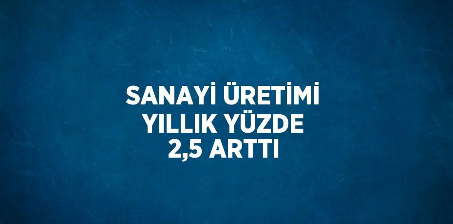SANAYİ ÜRETİMİ YILLIK YÜZDE 2,5 ARTTI