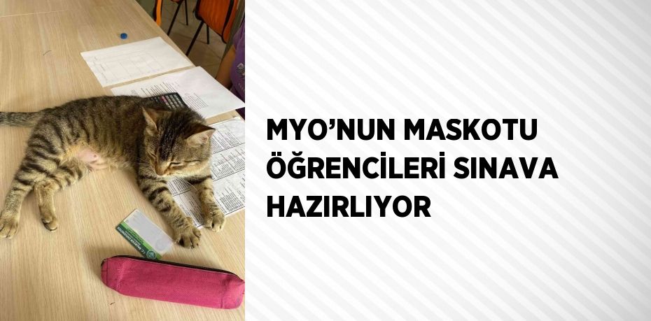 MYO’NUN MASKOTU ÖĞRENCİLERİ SINAVA HAZIRLIYOR