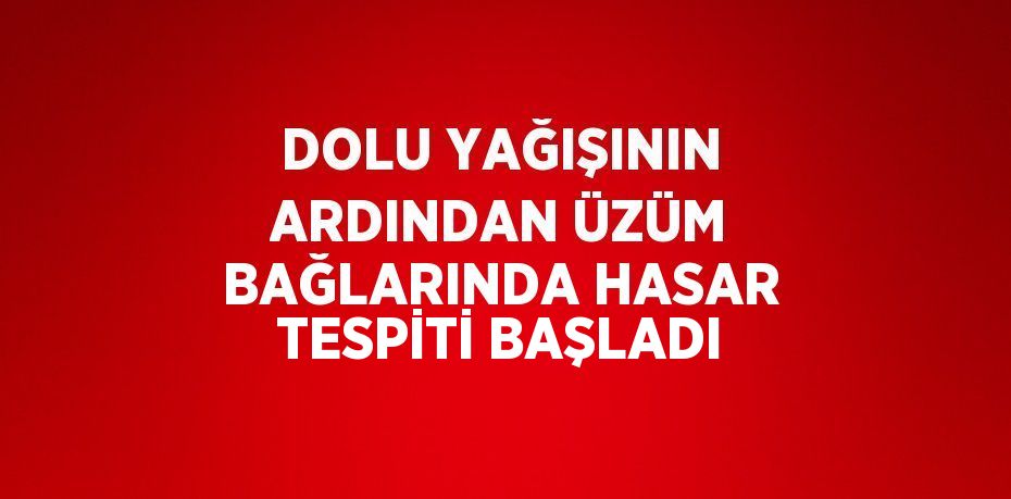 DOLU YAĞIŞININ ARDINDAN ÜZÜM BAĞLARINDA HASAR TESPİTİ BAŞLADI