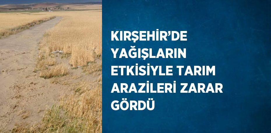 KIRŞEHİR’DE YAĞIŞLARIN ETKİSİYLE TARIM ARAZİLERİ ZARAR GÖRDÜ