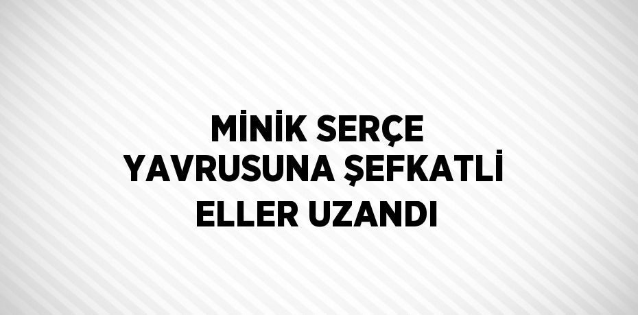 MİNİK SERÇE YAVRUSUNA ŞEFKATLİ ELLER UZANDI