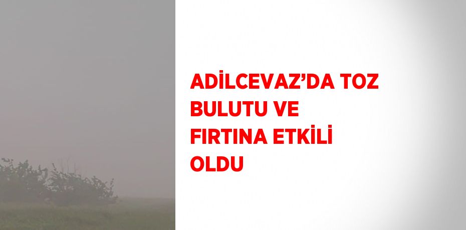 ADİLCEVAZ’DA TOZ BULUTU VE FIRTINA ETKİLİ OLDU