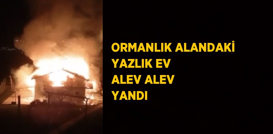 ORMANLIK ALANDAKİ YAZLIK EV ALEV ALEV YANDI