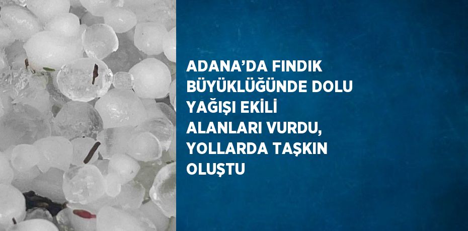 ADANA’DA FINDIK BÜYÜKLÜĞÜNDE DOLU YAĞIŞI EKİLİ ALANLARI VURDU, YOLLARDA TAŞKIN OLUŞTU