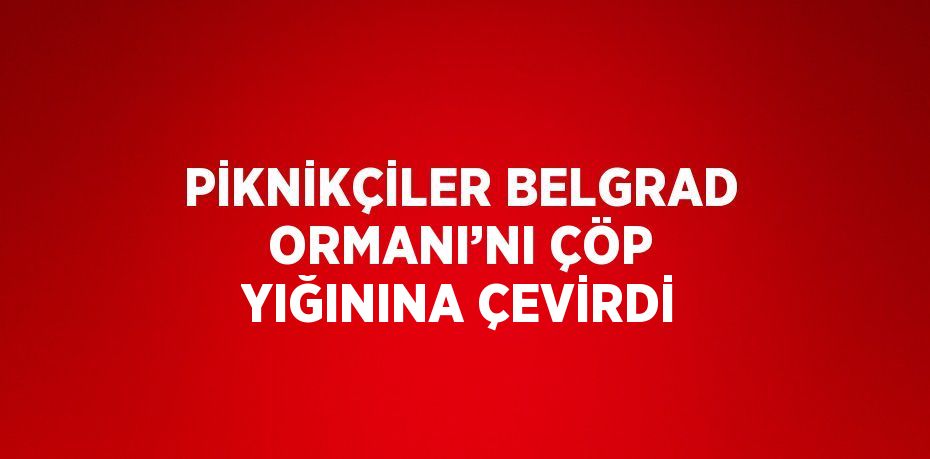 PİKNİKÇİLER BELGRAD ORMANI’NI ÇÖP YIĞININA ÇEVİRDİ