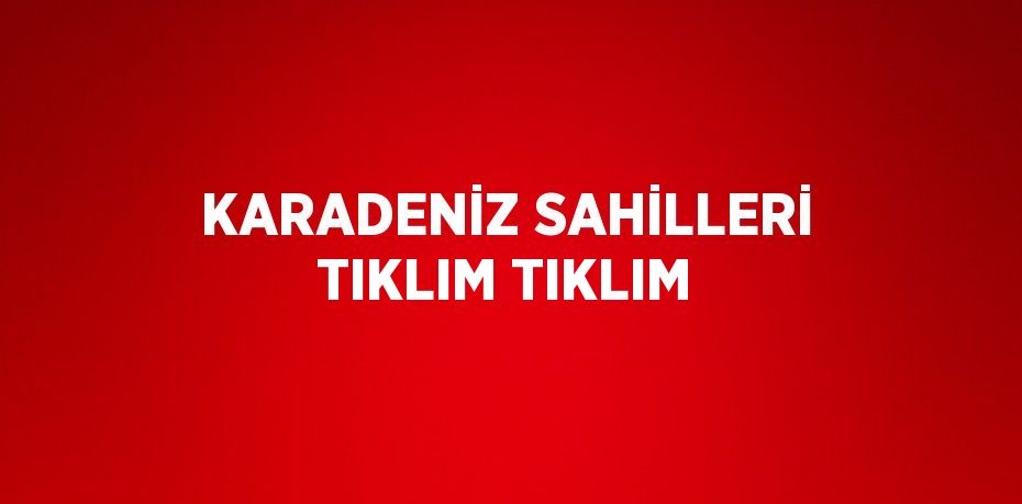 KARADENİZ SAHİLLERİ TIKLIM TIKLIM