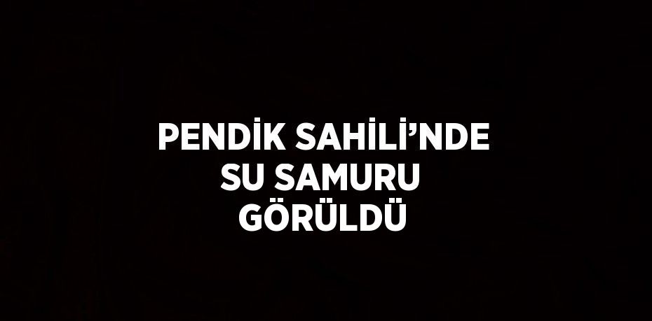 PENDİK SAHİLİ’NDE SU SAMURU GÖRÜLDÜ