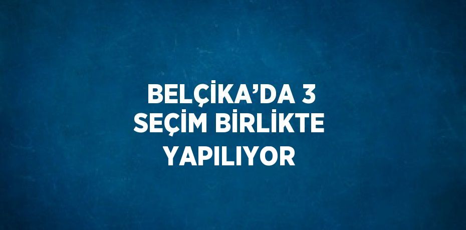 BELÇİKA’DA 3 SEÇİM BİRLİKTE YAPILIYOR