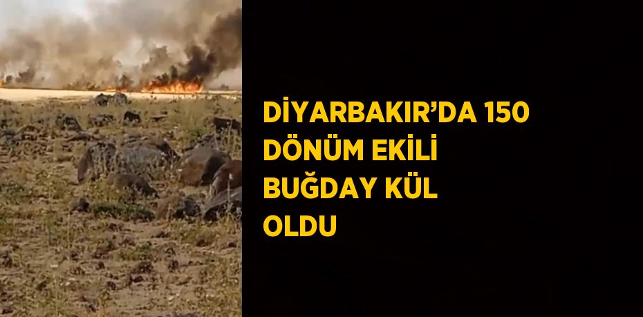 DİYARBAKIR’DA 150 DÖNÜM EKİLİ BUĞDAY KÜL OLDU