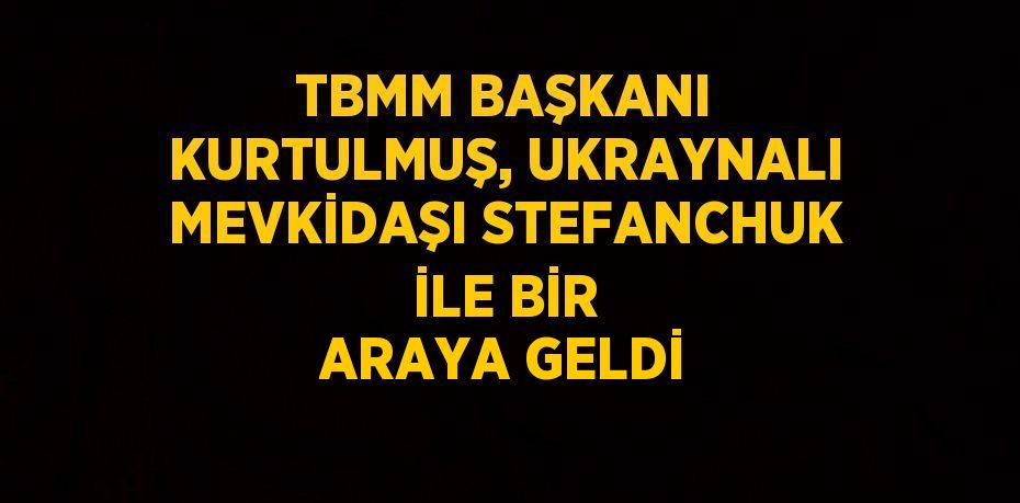 TBMM BAŞKANI KURTULMUŞ, UKRAYNALI MEVKİDAŞI STEFANCHUK İLE BİR ARAYA GELDİ