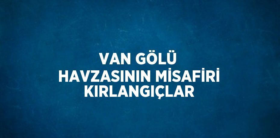 VAN GÖLÜ HAVZASININ MİSAFİRİ KIRLANGIÇLAR