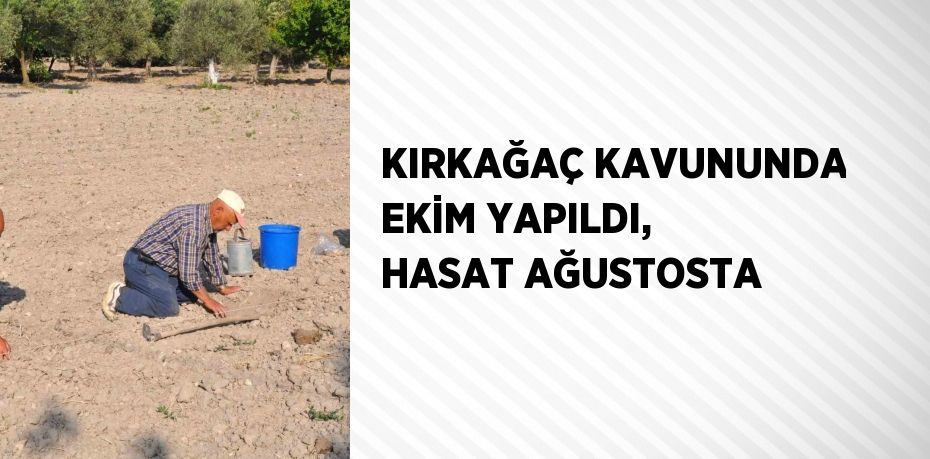 KIRKAĞAÇ KAVUNUNDA EKİM YAPILDI, HASAT AĞUSTOSTA