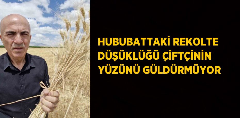 HUBUBATTAKİ REKOLTE DÜŞÜKLÜĞÜ ÇİFTÇİNİN YÜZÜNÜ GÜLDÜRMÜYOR