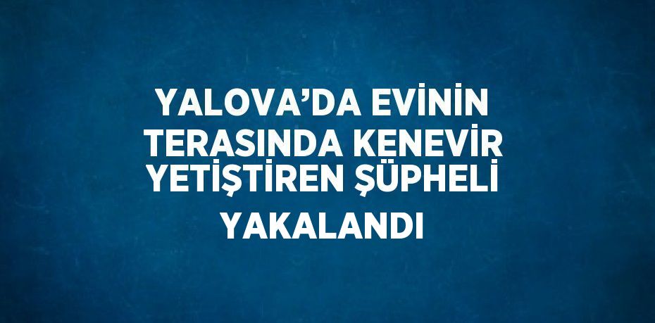 YALOVA’DA EVİNİN TERASINDA KENEVİR YETİŞTİREN ŞÜPHELİ YAKALANDI