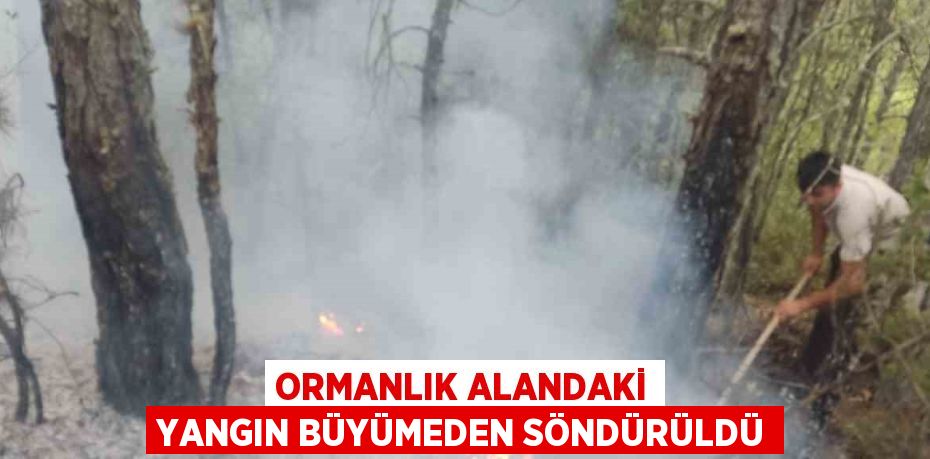 ORMANLIK ALANDAKİ YANGIN BÜYÜMEDEN SÖNDÜRÜLDÜ