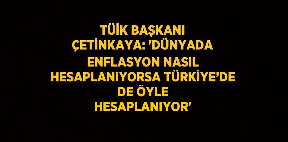 TÜİK BAŞKANI ÇETİNKAYA: 'DÜNYADA ENFLASYON NASIL HESAPLANIYORSA TÜRKİYE’DE DE ÖYLE HESAPLANIYOR'