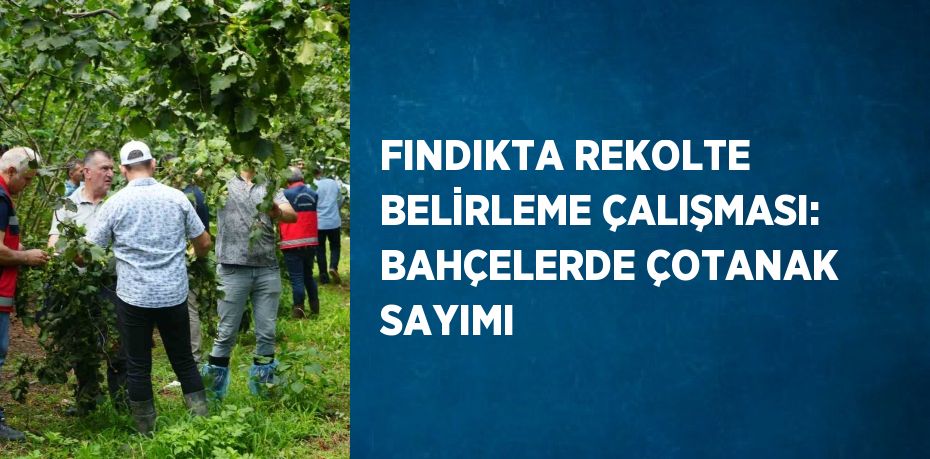 FINDIKTA REKOLTE BELİRLEME ÇALIŞMASI: BAHÇELERDE ÇOTANAK SAYIMI