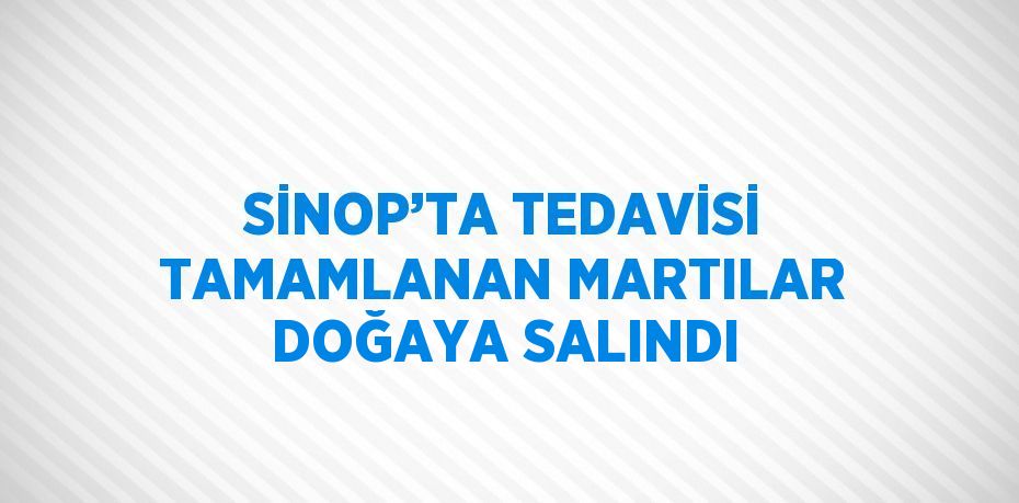 SİNOP’TA TEDAVİSİ TAMAMLANAN MARTILAR DOĞAYA SALINDI