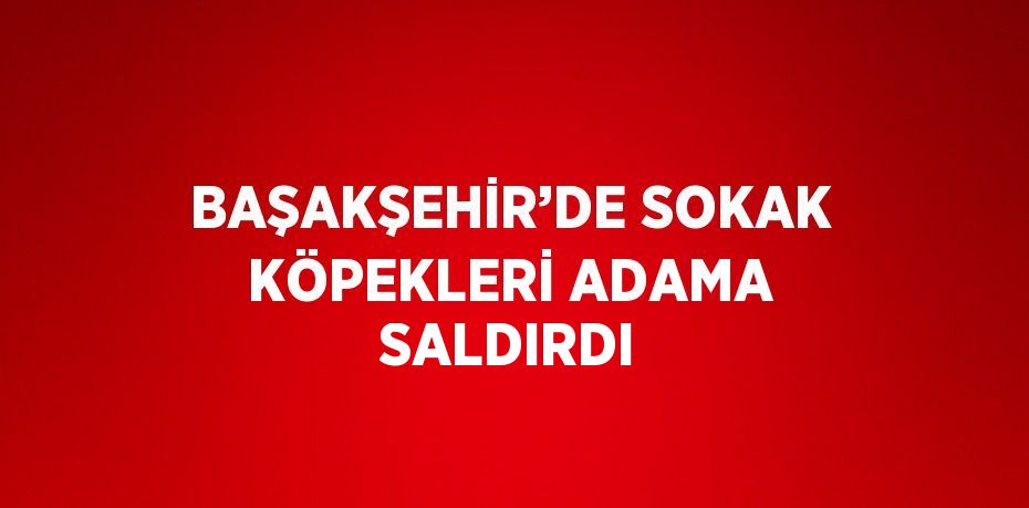 BAŞAKŞEHİR’DE SOKAK KÖPEKLERİ ADAMA SALDIRDI