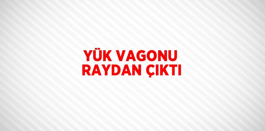 YÜK VAGONU RAYDAN ÇIKTI