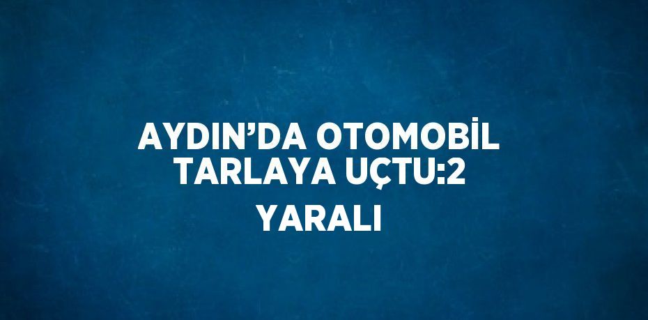 AYDIN’DA OTOMOBİL TARLAYA UÇTU:2 YARALI