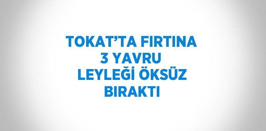 TOKAT’TA FIRTINA 3 YAVRU LEYLEĞİ ÖKSÜZ BIRAKTI