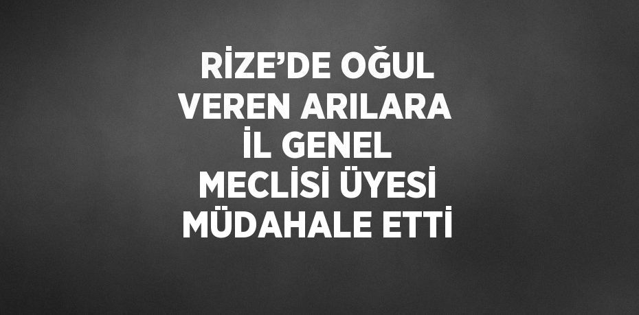 RİZE’DE OĞUL VEREN ARILARA İL GENEL MECLİSİ ÜYESİ MÜDAHALE ETTİ