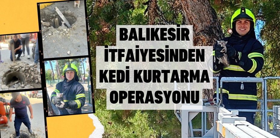 BALIKESİR İTFAİYESİNDEN KEDİ KURTARMA OPERASYONU