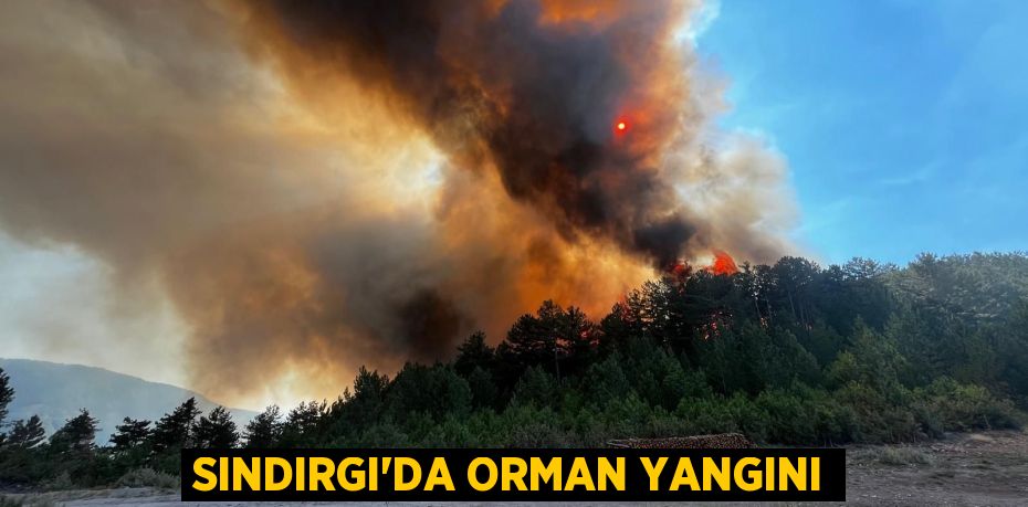 Sındırgı'da orman yangını
