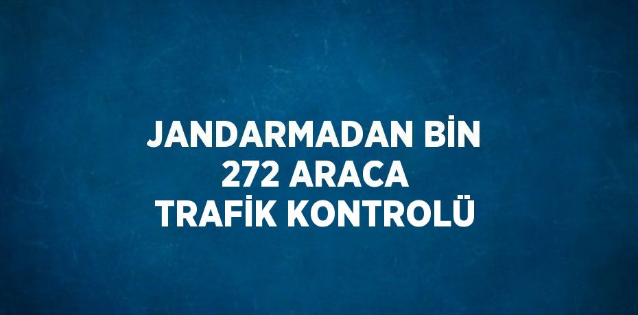 JANDARMADAN BİN 272 ARACA TRAFİK KONTROLÜ