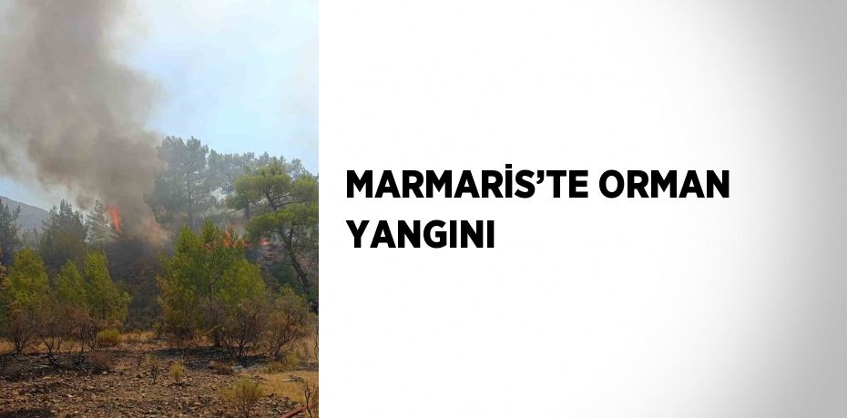 MARMARİS’TE ORMAN YANGINI