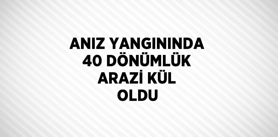 ANIZ YANGININDA 40 DÖNÜMLÜK ARAZİ KÜL OLDU