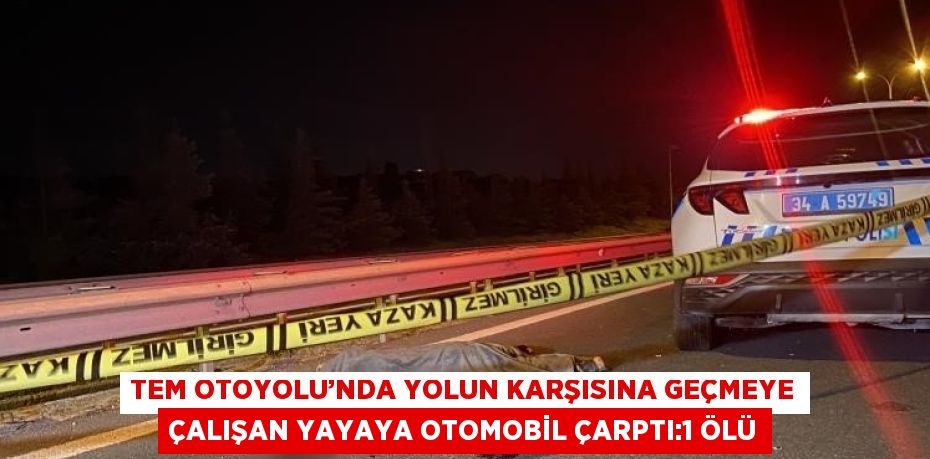 TEM OTOYOLU’NDA YOLUN KARŞISINA GEÇMEYE ÇALIŞAN YAYAYA OTOMOBİL ÇARPTI:1 ÖLÜ