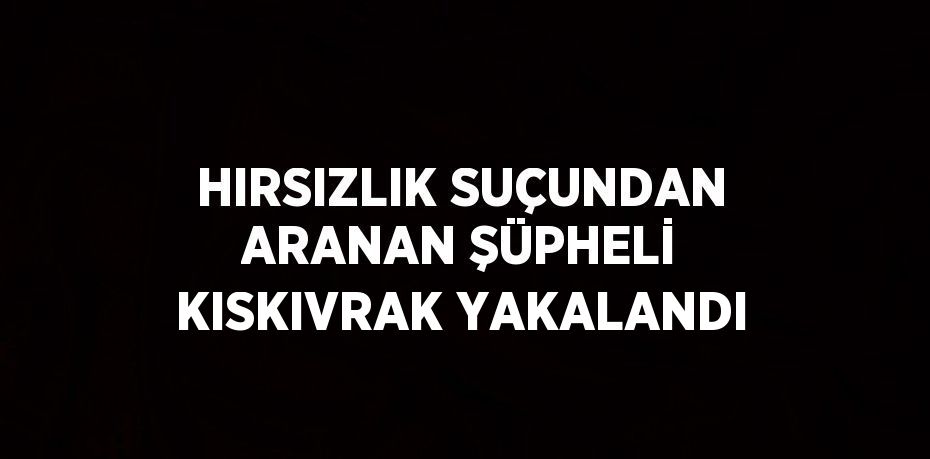 HIRSIZLIK SUÇUNDAN ARANAN ŞÜPHELİ KISKIVRAK YAKALANDI