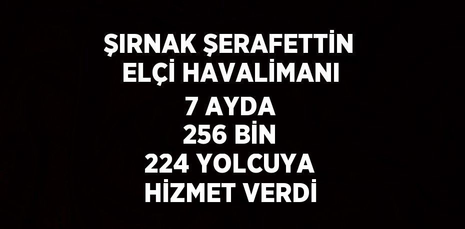 ŞIRNAK ŞERAFETTİN ELÇİ HAVALİMANI 7 AYDA 256 BİN 224 YOLCUYA HİZMET VERDİ