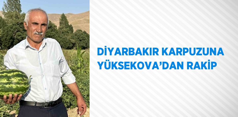 DİYARBAKIR KARPUZUNA YÜKSEKOVA’DAN RAKİP