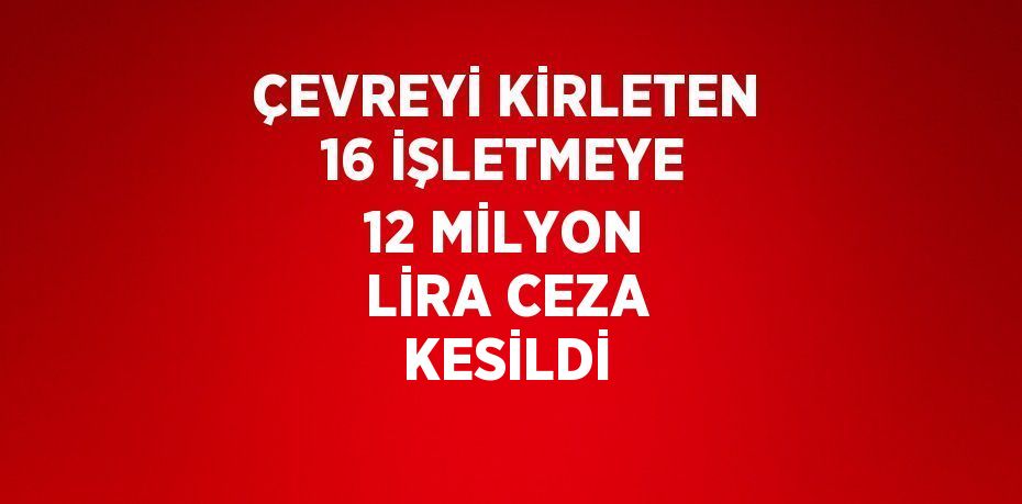 ÇEVREYİ KİRLETEN 16 İŞLETMEYE 12 MİLYON LİRA CEZA KESİLDİ